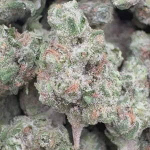 Peanut Butter Cup Minis - Bulk Minis - Indica