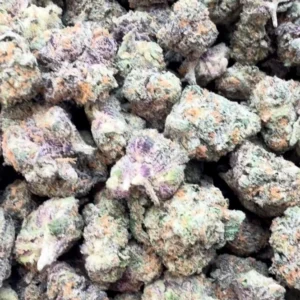 Boutique Exotics Coffin Candy Minis - Bulk Minis - Hybrid