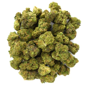 Jealousy - 28 Grams - Hybrid