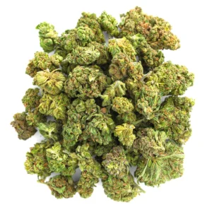 Jungle Gelato - 28 Grams - Indica