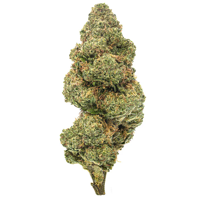 Blueberry Muffin Strain