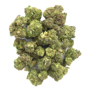 Sherblato - 28 Grams - Hybrid