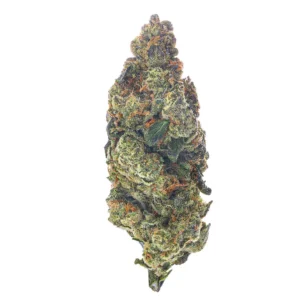 White Gushers Strain