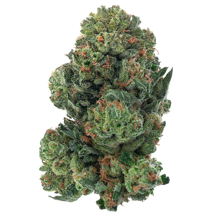 Alien OG - Indoor - 28 Grams - Indica