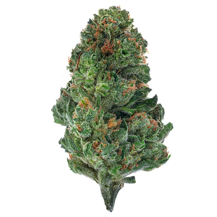 Tahoe OG - Indoor - 28 Grams - Indica
