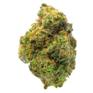 Ice Runtz Strain